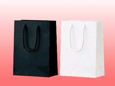 シャイニーバッグXSの商品画像