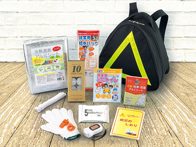 ピラミッドバッグ防災12点セットの商品画像