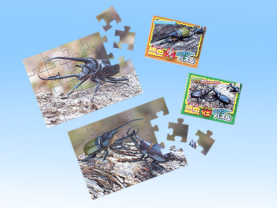 昆虫ジグソーパズルの商品画像